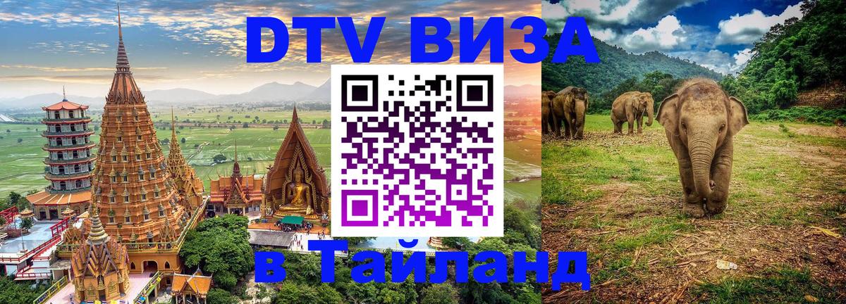 Оформление DTV визы под ключ: стоимость и тарифы, только загранпаспорт - 20.11.2025 